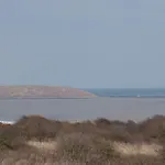 Sandy Corner *